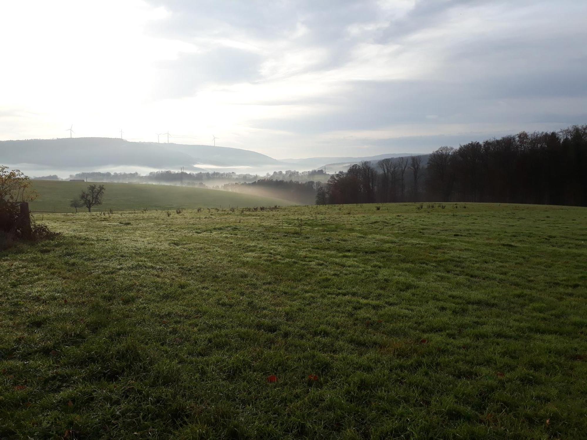 Ellernhof Im Spessart